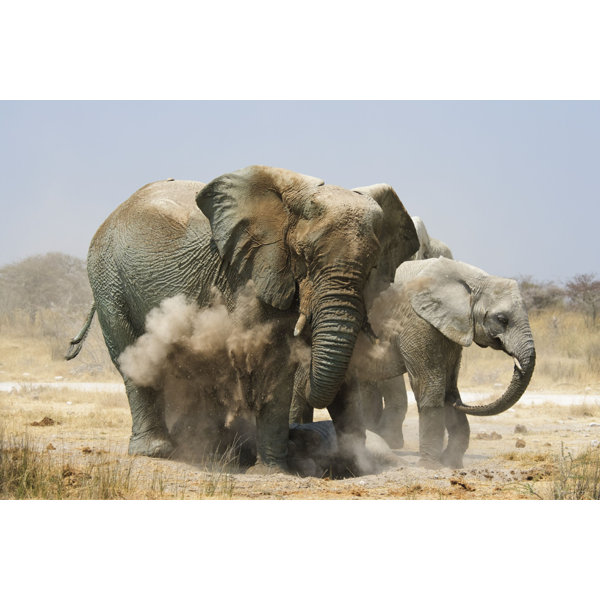Ebern Designs Mother Elephant Dusting Baby Elephant On Canvas by